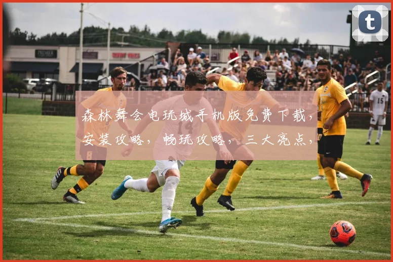 森林舞会电玩城手机版免费下载，安装攻略，畅玩攻略，三大亮点，不容错过，轻松体验
